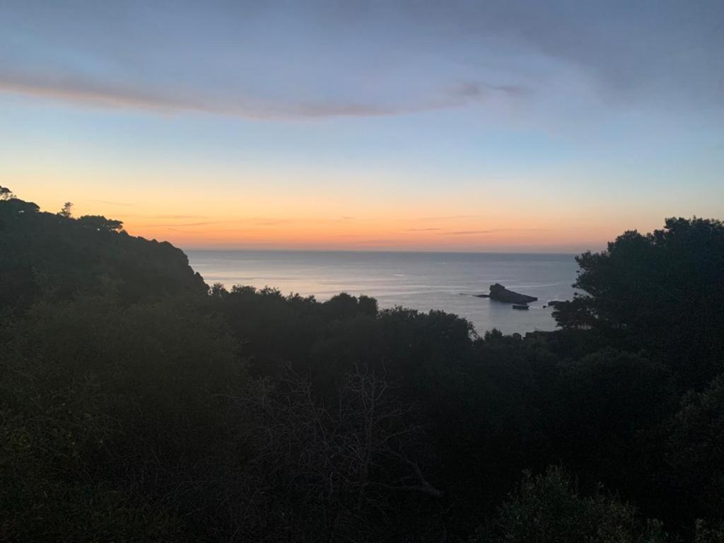 Le Case Vacanze Di Federico Terrasini Eksteriør bilde